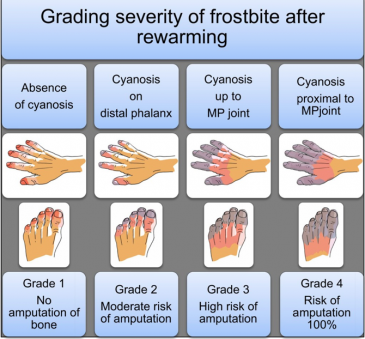 Screenshot 2026-03-03 at 14.58.07