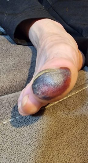 motion_photo_3097438744798108224