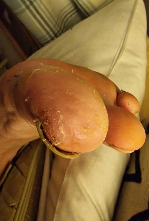 motion_photo_3471277021332352809