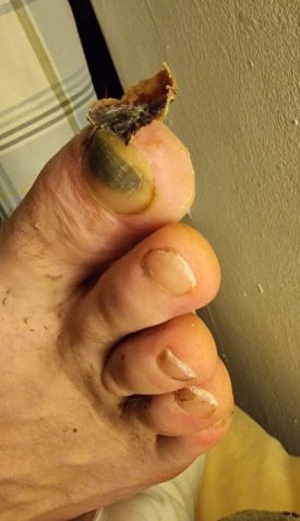 motion_photo_8076912323273816279